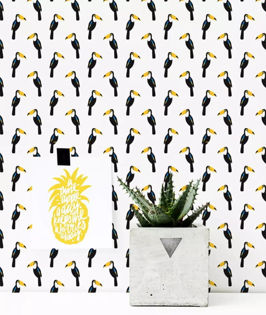 birds wallpaper designs room decorating ideas