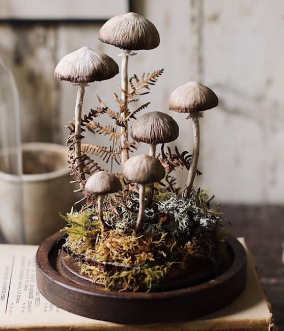 mushroom trends home decorations original designs