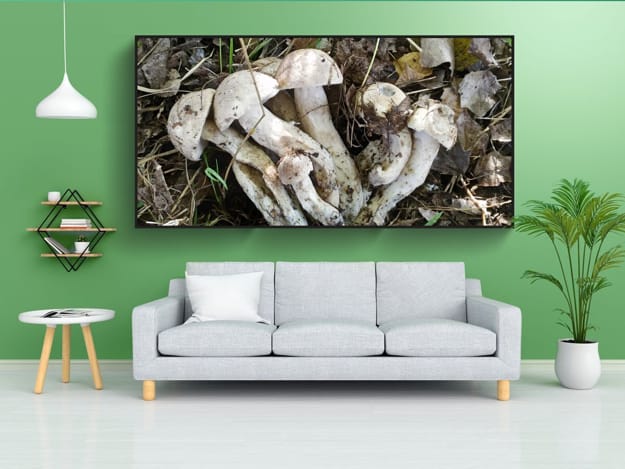 mushroom trends home decorations original designs