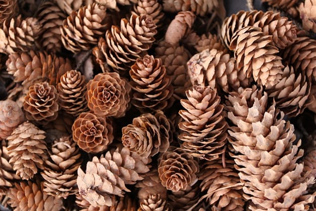 natural material for handmade crafts