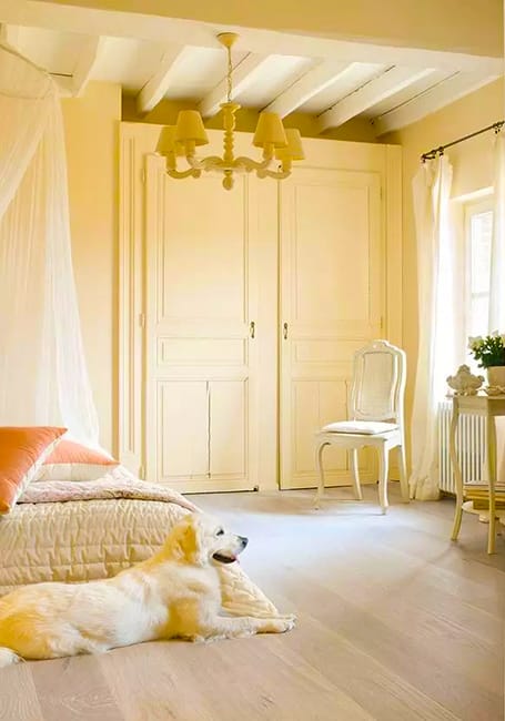 warm design ideas orange color
