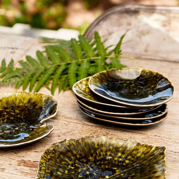 fresh fern leaves green plates