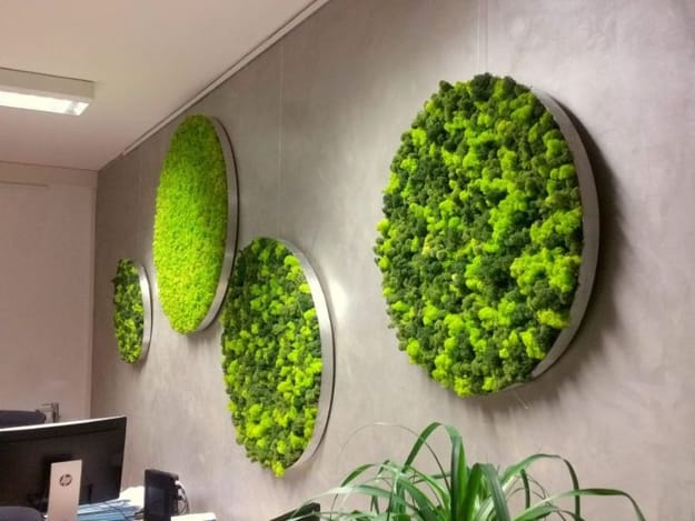 green wall panels