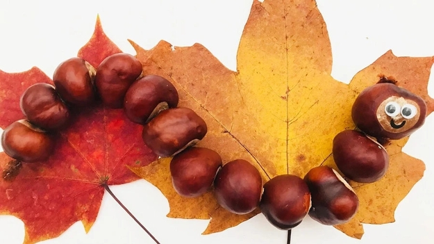 chestnut garland