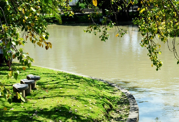 recycled wood craft ideas garden decorations