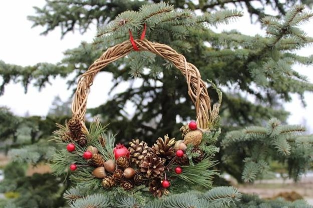 acorns crafts decorating ideas