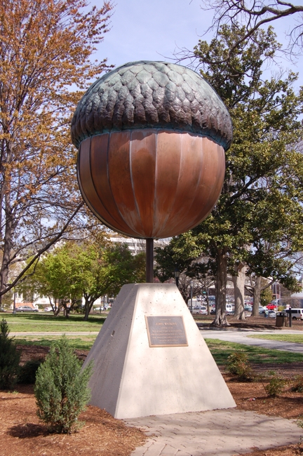 sculptured acorn
