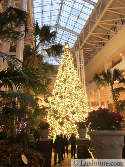winter holiday decor glass roof indoor gardens outdoor lights