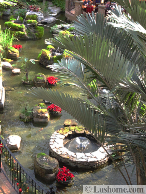 winter holiday decor glass roof indoor gardens outdoor lights