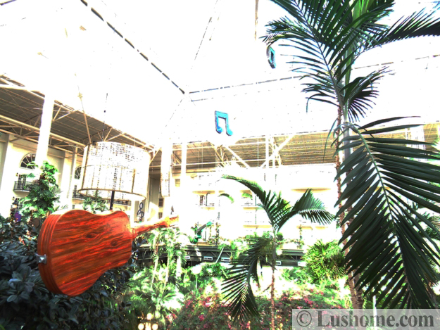 winter holiday decor glass roof indoor gardens outdoor lights