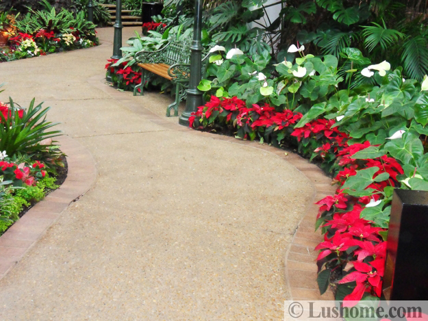 winter holiday decor glass roof indoor gardens outdoor lights