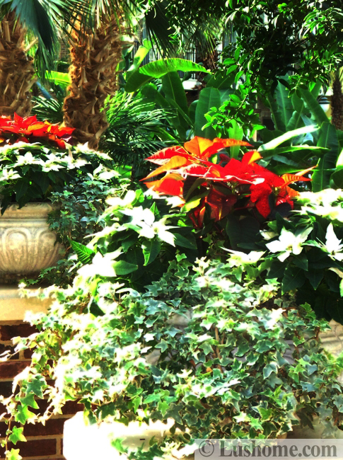 winter holiday decor glass roof indoor gardens outdoor lights