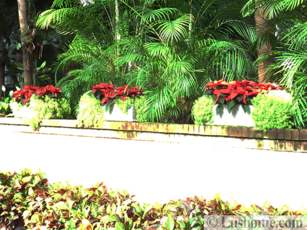 winter holiday decor glass roof indoor gardens outdoor lights