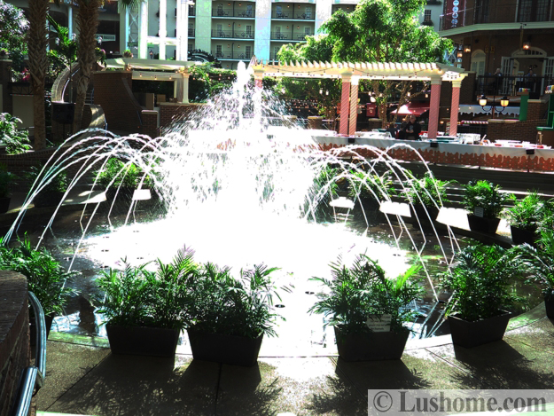 winter holiday decor glass roof indoor gardens outdoor lights