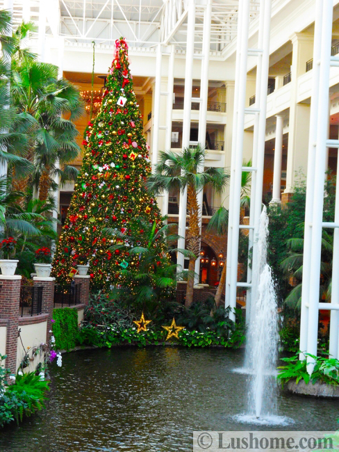 winter holiday decor glass roof indoor gardens outdoor lights