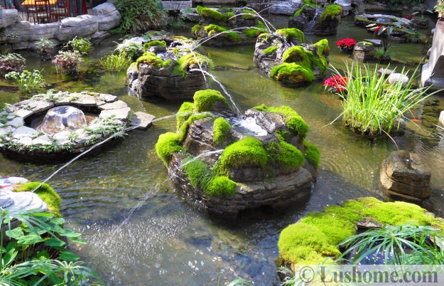 winter holiday decor glass roof indoor gardens outdoor lights