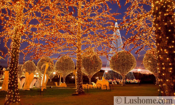 outdoor christmas lights