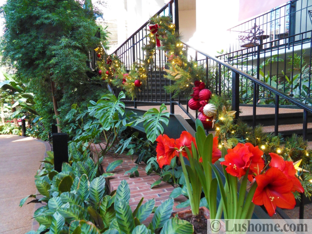 beautiful indoor garden path
