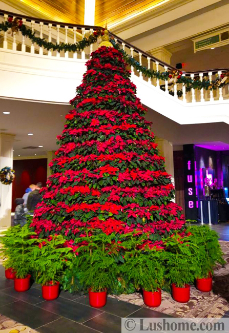 alternative holiday tree