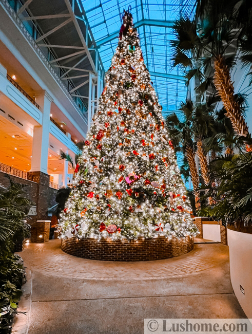 winter holiday decor glass roof indoor gardens outdoor lights