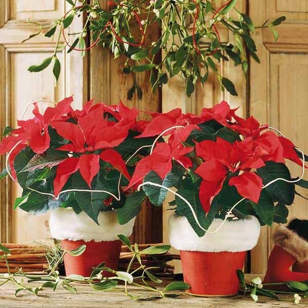 floral centerpieces christmas table decorations