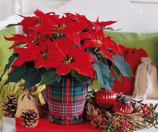 floral centerpieces christmas table decorations