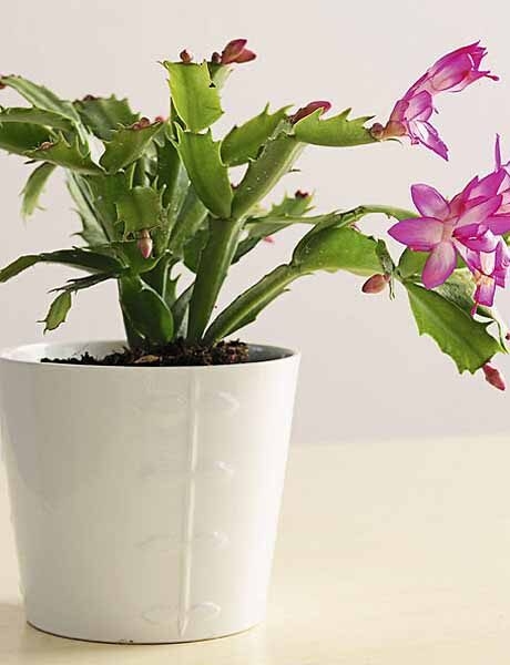 floral centerpieces christmas table decorations