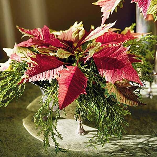 floral centerpieces christmas table decorations