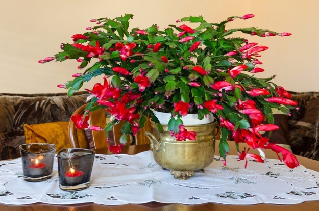floral centerpieces christmas table decorations