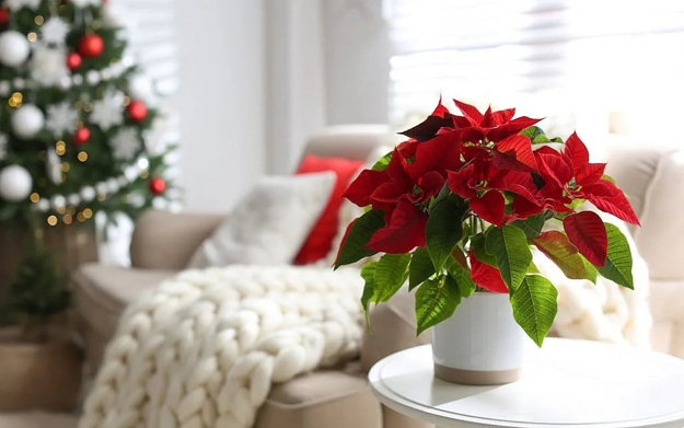 floral centerpieces christmas table decorations