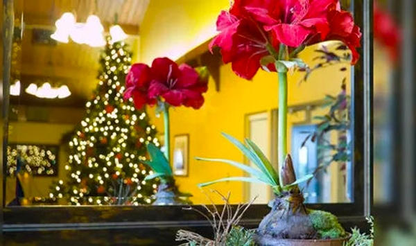 floral centerpieces christmas table decorations