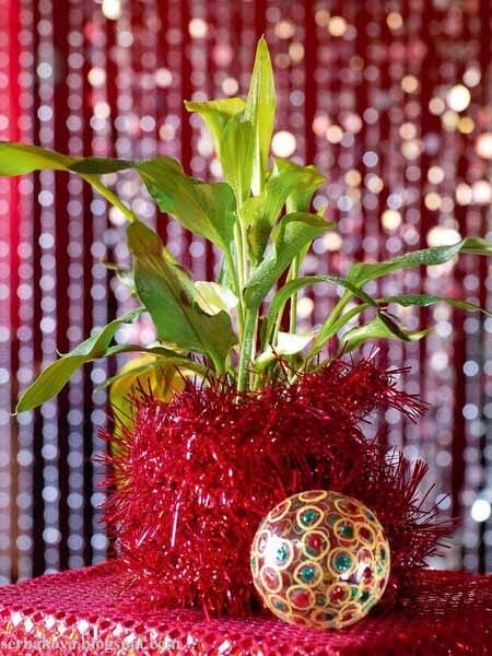 indoor plant holiday table decorations