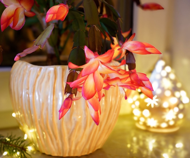 floral centerpieces christmas table decorations
