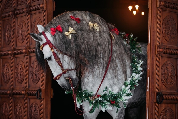 horse year home decorating colors