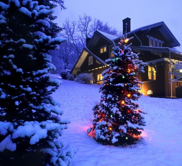 beautiful christmas tree holiday decor ideas