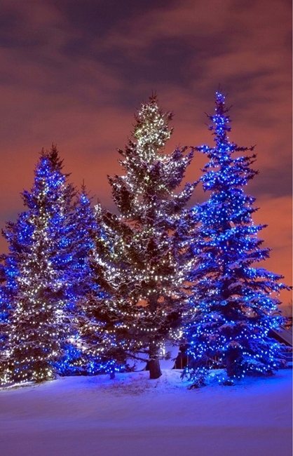 beautiful christmas tree holiday decor ideas