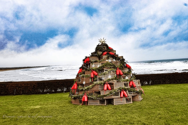 beautiful christmas tree holiday decor ideas