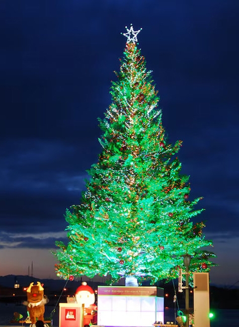 beautiful christmas tree holiday decor ideas