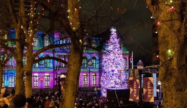 beautiful christmas tree holiday decor ideas