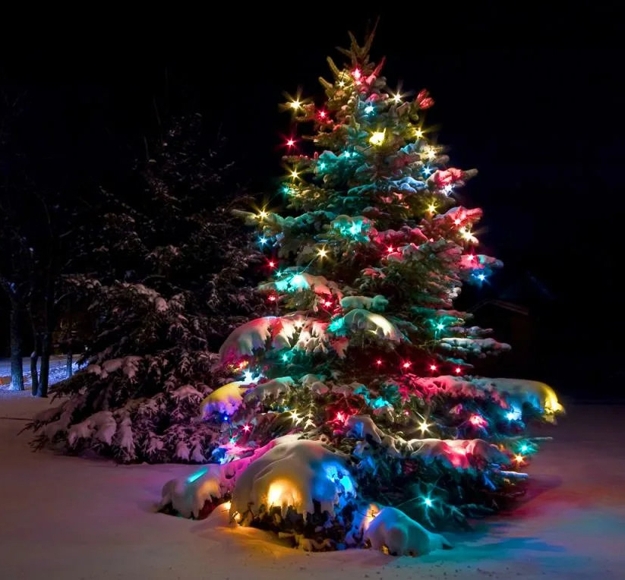 beautiful christmas tree holiday decor ideas