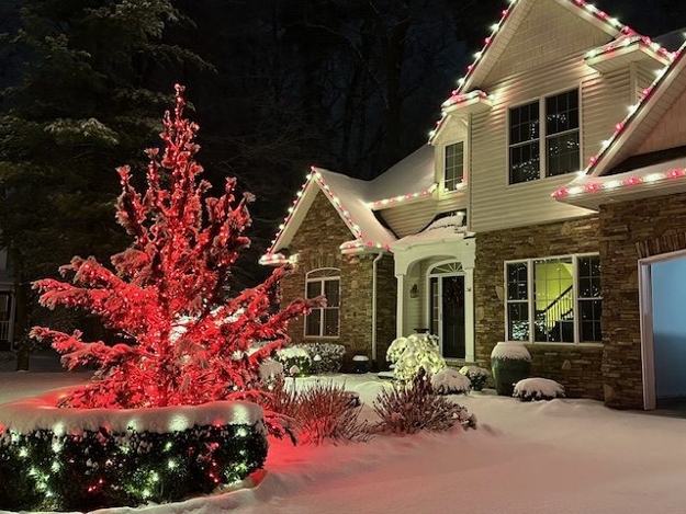 beautiful christmas tree holiday decor ideas