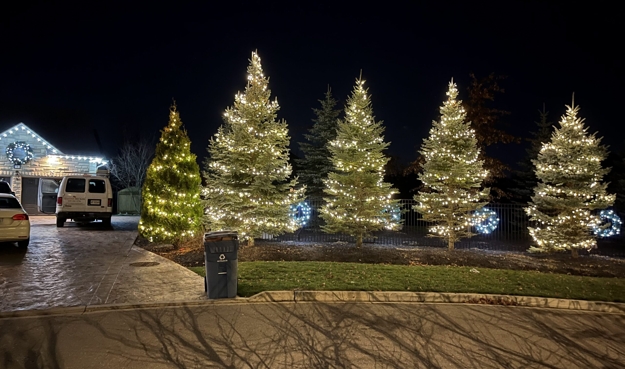 beautiful christmas tree holiday decor ideas