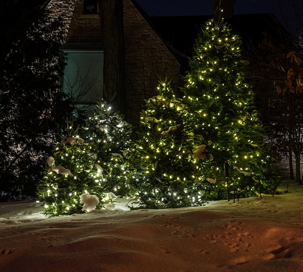 beautiful christmas tree holiday decor ideas