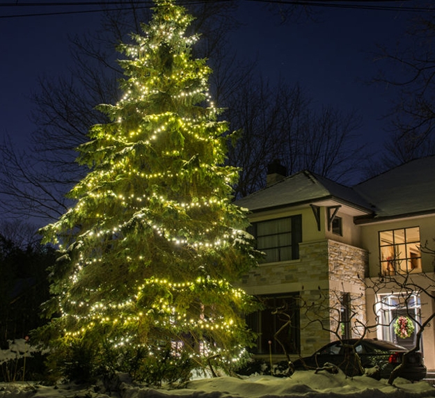 beautiful christmas tree holiday decor ideas