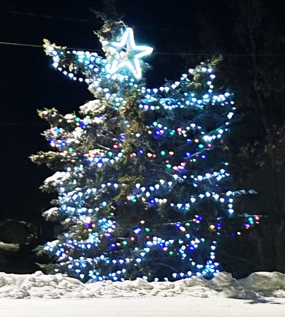 beautiful christmas tree holiday decor ideas