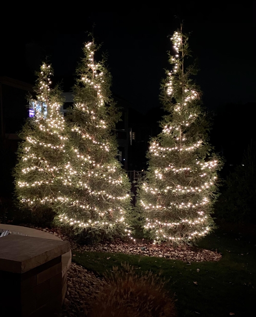 beautiful christmas tree holiday decor ideas