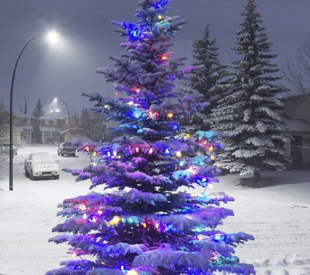 beautiful christmas tree holiday decor ideas