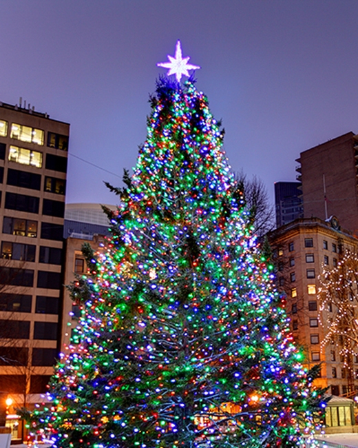 beautiful christmas tree holiday decor ideas