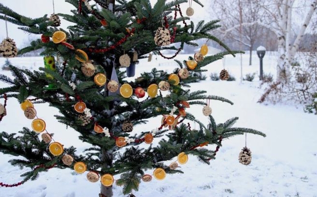 beautiful christmas tree holiday decor ideas