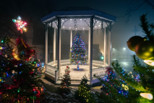 outdoor holiday tree